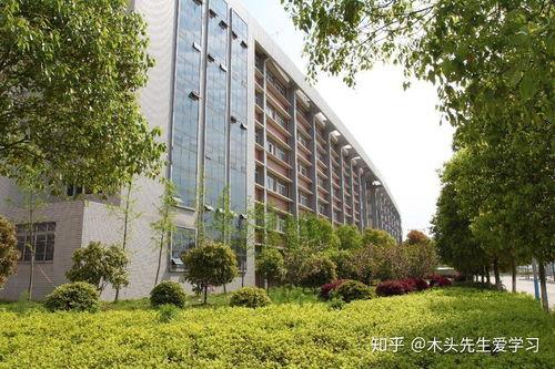 武昌工学院爆料新闻最新消息,校园事件引发关注，真相即将揭晓